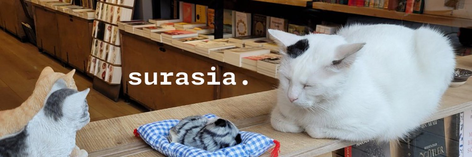 Cat sleeping with "surasia" text overlayed